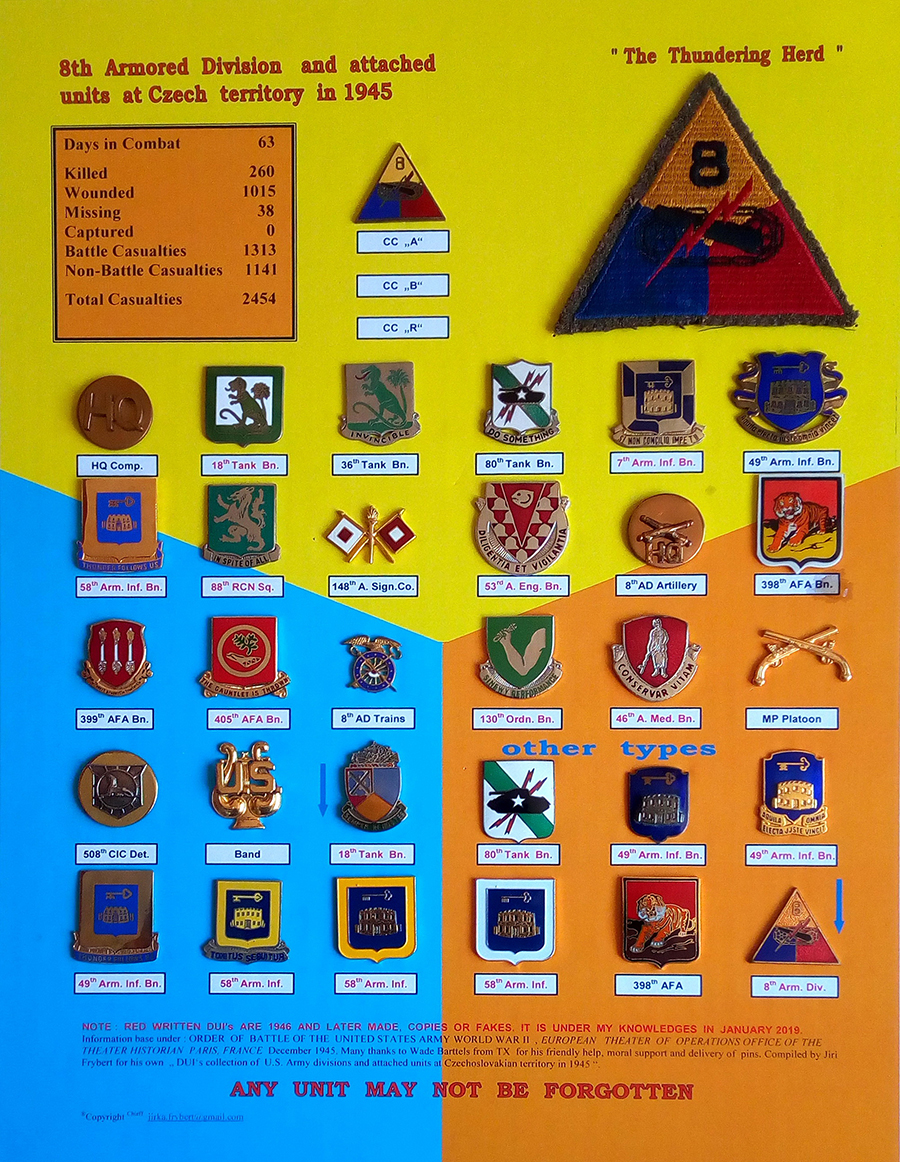 8th Unit Insignia and statistics